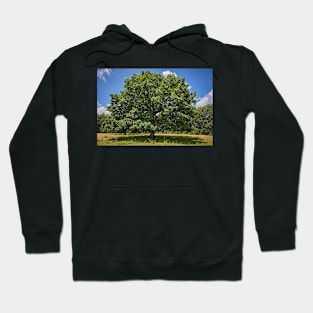 Centennial oak tree Hoodie